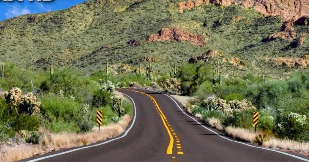 A Road Trip Surprise on the Salt River Canyon Scenic Drive