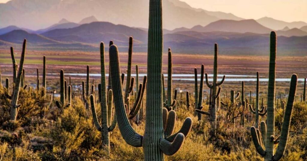 Arizona Road Trip Itinerary: A Scenic Route Through Deserts, Canyons and Red Rock Country