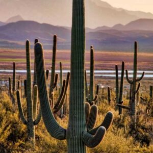 Arizona Road Trip Itinerary: A Scenic Route Through Deserts, Canyons and  Red Rock Country