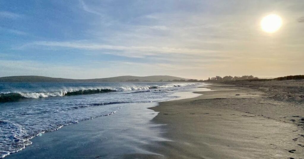 Best Beaches in Bodega Bay: A Scenic Sonoma Coast Guide