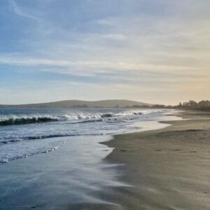 Best Beaches in Bodega Bay: A Scenic Sonoma Coast Guide