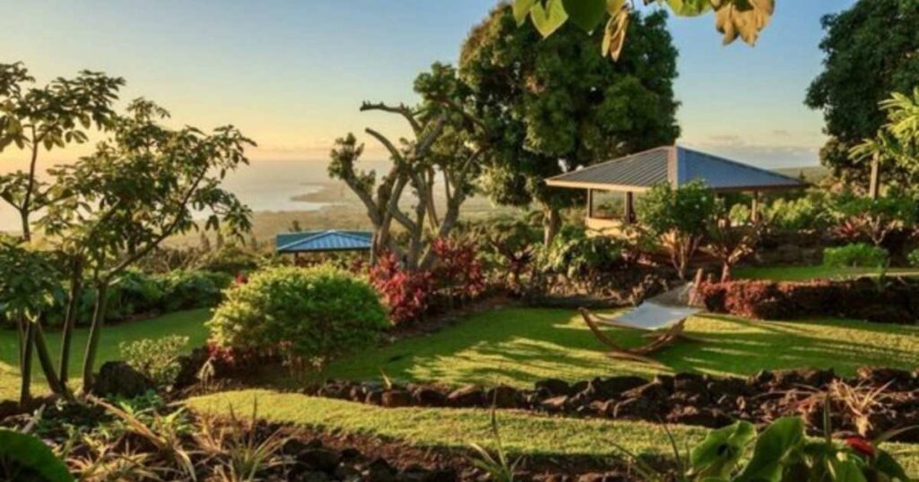 Best Things to Do in Holualoa , Hawaii (Complete Travel Guide)