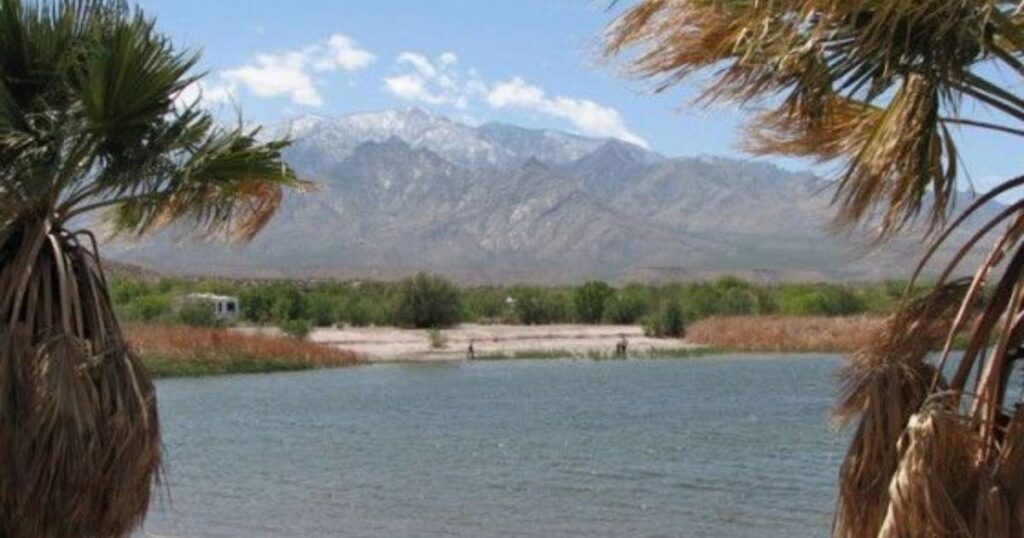 Dankworth Pond: A Peaceful Escape in Arizona’s Sulphur Springs Valley