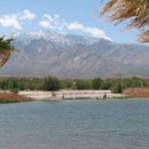 Dankworth Pond: A Peaceful Escape in Arizona’s Sulphur Springs Valley