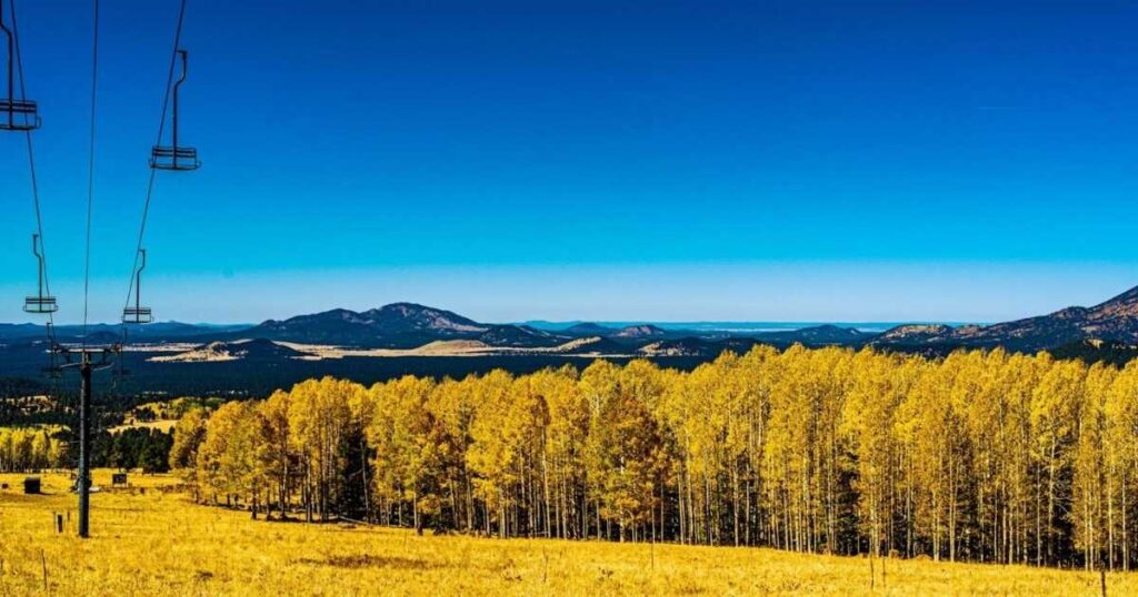 Flagstaff in Fall: Best Colors, Hidden Spots & Local Tips