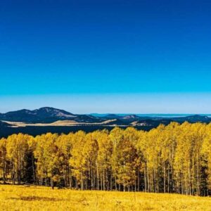 Flagstaff in Fall: Best Colors, Hidden Spots & Local Tips