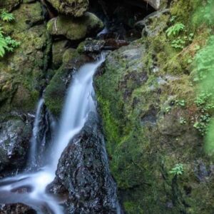 Madison Falls Olympic National Park: A Complete Travel Guide