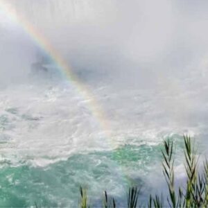 Niagara City Cruises vs Maid of the Mist : The Ultimate Guide to the Best Niagara Falls Boat Tour Experience