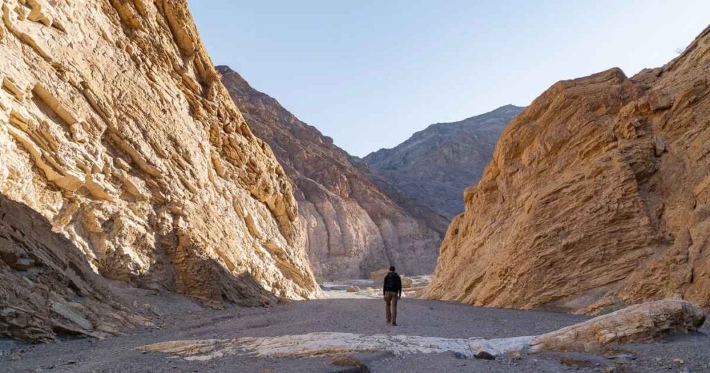 Sidewinder Canyon Death Valley: Complete Hiking Guide to This Hidden Slot Canyon
