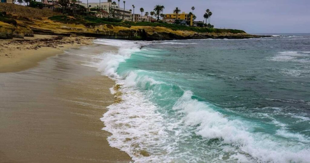 Sunny Jims Sea Cave: How to Visit La Jolla’s Hidden Coastal Wonder