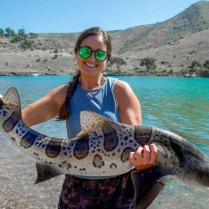 Swim with leopard sharks in La Jolla: What It’s Really Like (And Why It’s Safer Than You Think)
