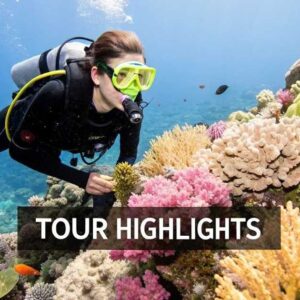 Can You Snorkel Kealakekua Bay Without a Tour? Yes, Here’s How