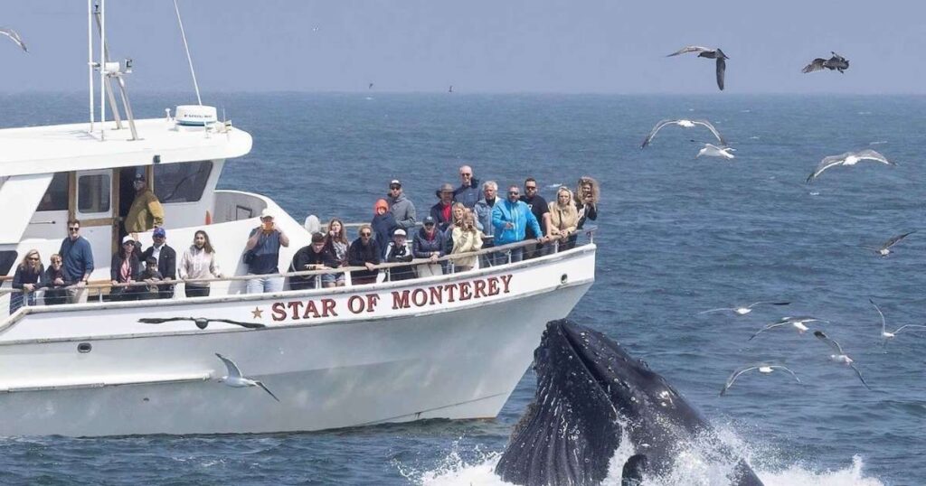 Things to do in Monterey and Carmel by the Sea: The Perfect 2-Day Itinerary