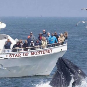 Things to do in Monterey and Carmel by the Sea: The Perfect 2-Day Itinerary