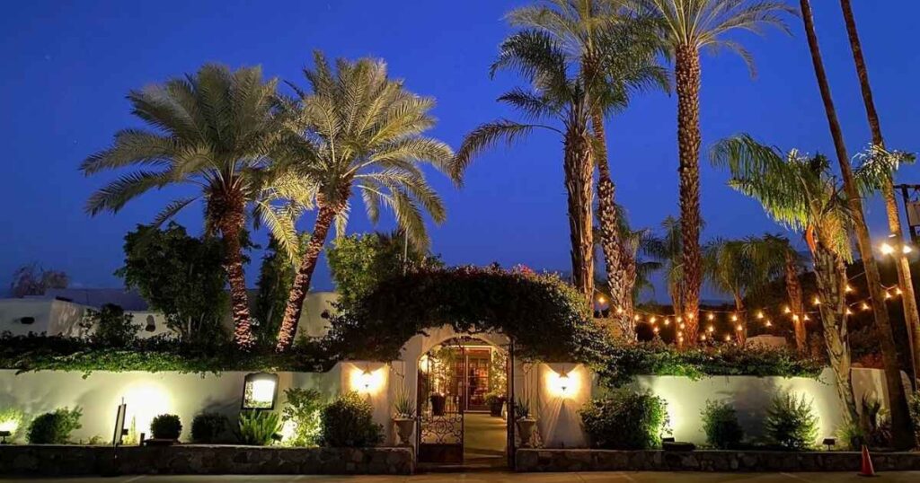 Things to Do in Palm Springs at Night: 6 Memorable Desert Experiences After Dark