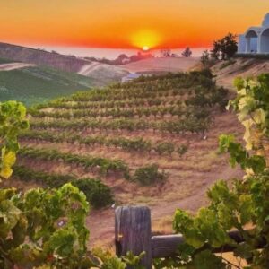 Unexpected Finds Beyond Wine: Things to Do in Paso Robles, California