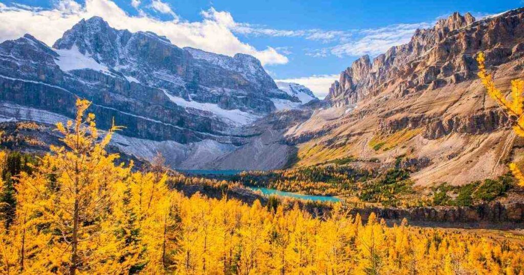 Banff in Fall: Ultimate Guide to Golden Mountain Magic
