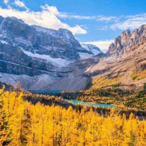 Banff in Fall: Ultimate Guide to Golden Mountain Magic