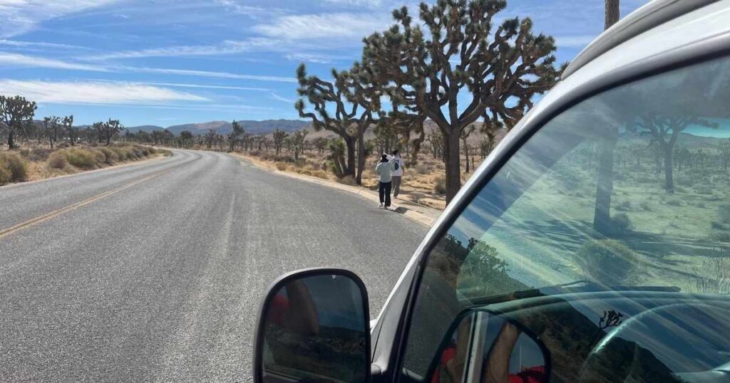 Barker Dam Trail: Ultimate Guide to Joshua Tree’s Hidden Gem