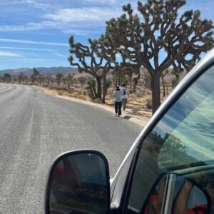 Barker Dam Trail: Ultimate Guide to Joshua Tree’s Hidden Gem