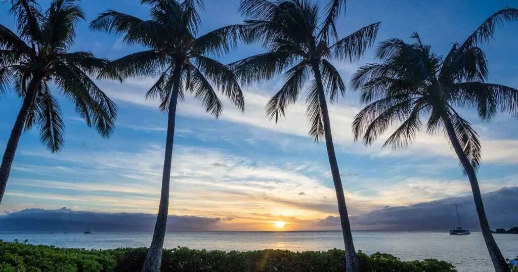 Best Things to Do in Maui Hawaii on Your First Trip