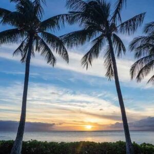Best Things to Do in Maui Hawaii on Your First Trip