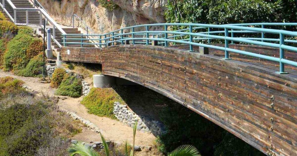 Bluff Top Trail Dana Point: Ultimate Scenic Coastal Walk