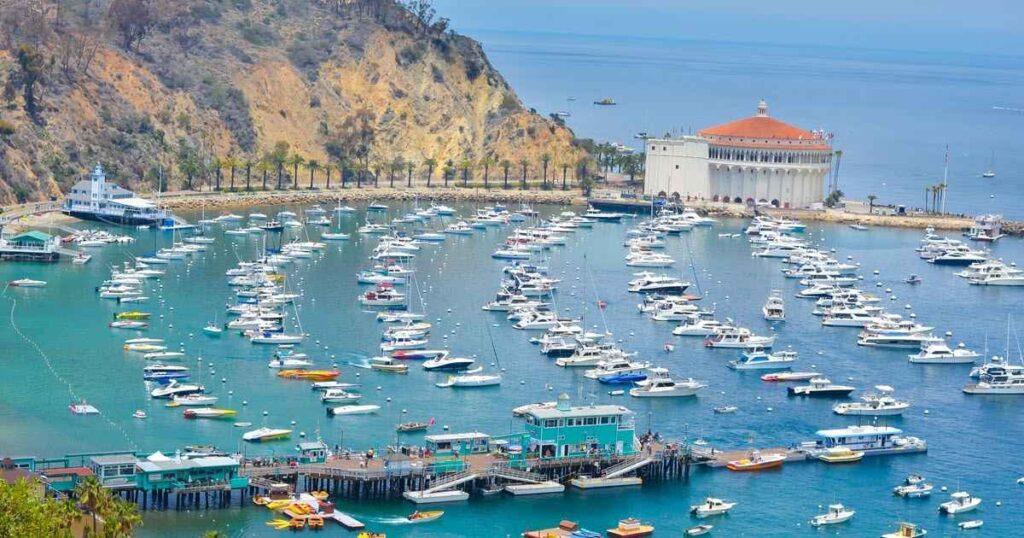 Day Trip to Catalina Island: Ultimate Coastal Escape Guide