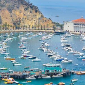 Day Trip to Catalina Island: Ultimate Coastal Escape Guide