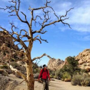 Getting Through the Hidden Cave of Chasm of Doom Joshua Tree
