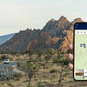 Joshua Tree Itinerary: Smart 1-Day Plan That Works