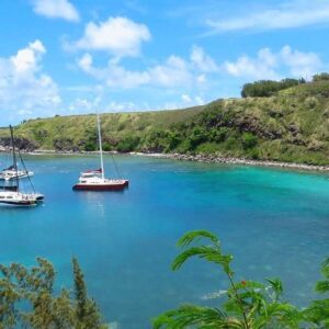 Maui vs Big Island: Which Hawaii Trip Fits You Best?