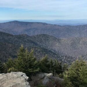 Mount Mitchell Trail: Ultimate Hiking Guide