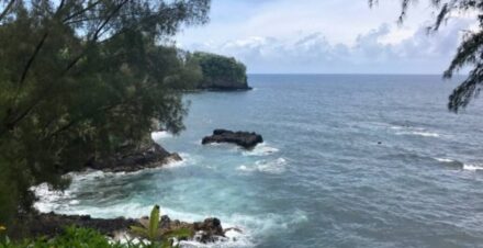 Onomea Bay Trail: Ultimate Hidden Hawaii Jungle Guide