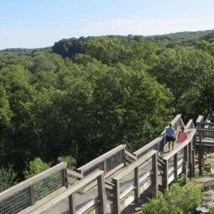 Rock Bridge State Park: Ultimate Guide to Hidden Trails