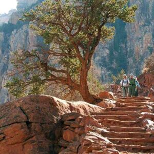Solstice Canyon Trail: Ultimate Scenic Hiking Guide