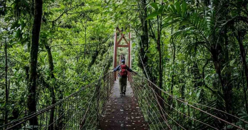 Things to Do in Liberia Costa Rica: Ultimate Travel Guide