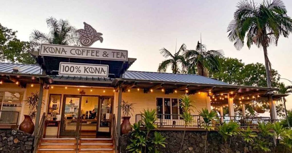 What to Know Before Booking Kona Coffee Farm Tours