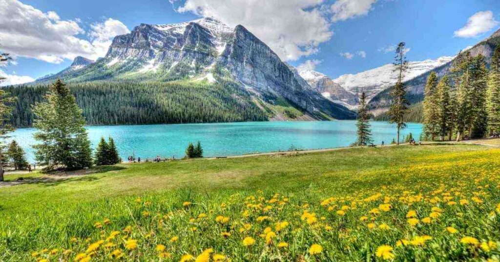 Banff in June: Wildflowers, Lakes and Longer Days