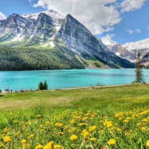 Banff in June: Wildflowers, Lakes and Longer Days