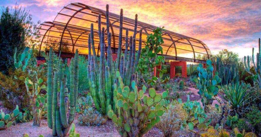 Phoenix Beyond the Heat: Unique Things to Do in Phoenix