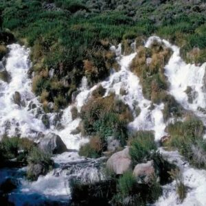 Thousand Springs State Park: Your Complete Visitor's Guide