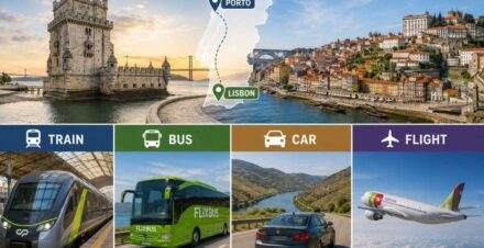 Lisbon to Porto: Train, Bus, Car or Flight The Complete Guide