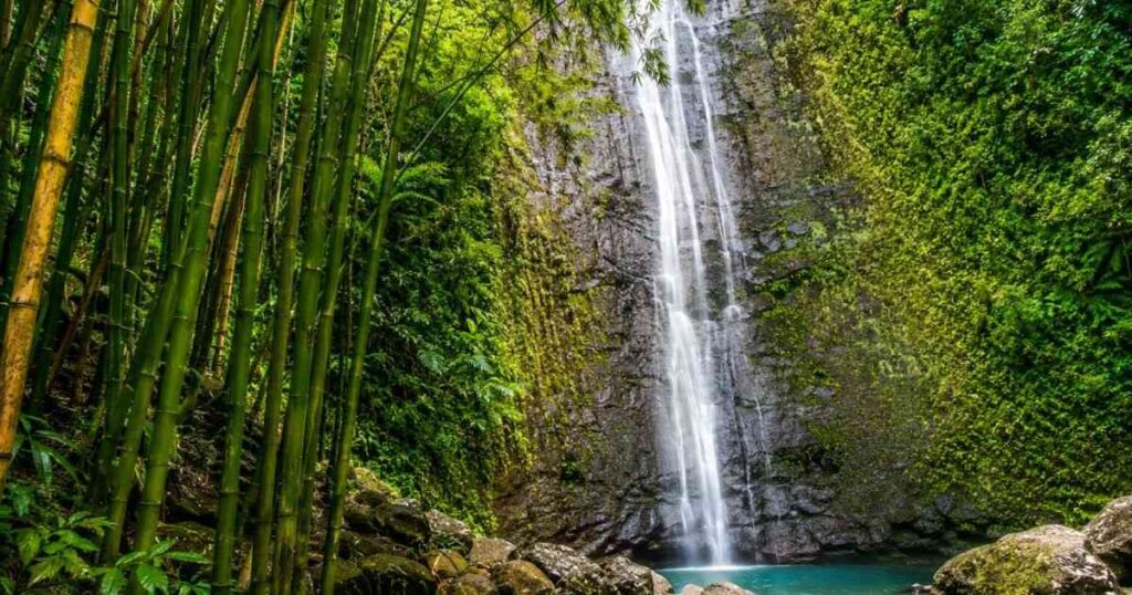 Lulumahu Falls: The Bamboo Forest Waterfall Every Oahu Hiker Should Do