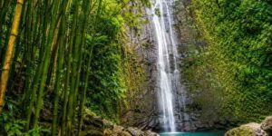 Lulumahu Falls: The Bamboo Forest Waterfall Every Oahu Hiker Should Do