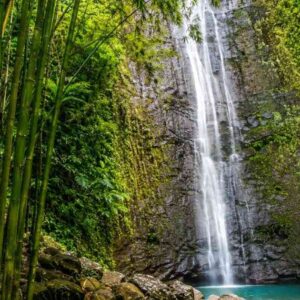 Lulumahu Falls: The Bamboo Forest Waterfall Every Oahu Hiker Should Do