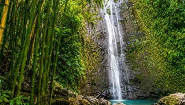Lulumahu Falls: The Bamboo Forest Waterfall Every Oahu Hiker Should Do
