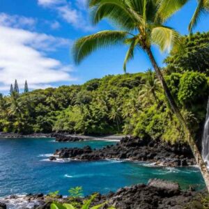 Things to Do in Hilo Hawaii: The Complete Activity Guide
