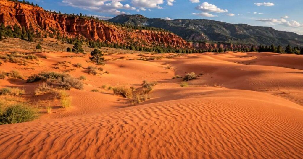 Coral Pink Sand Dunes Utah: A Desert of Rose-Colored Sand Near Zion