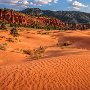 Coral Pink Sand Dunes Utah: A Desert of Rose-Colored Sand Near Zion